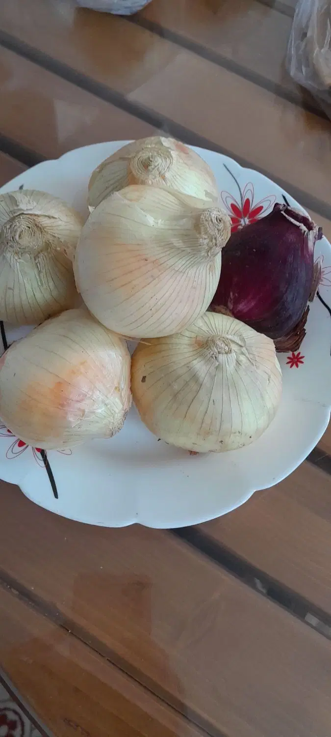 پیاز|خوردنی و آشامیدنی|فردوس (خراسان), |دیوار