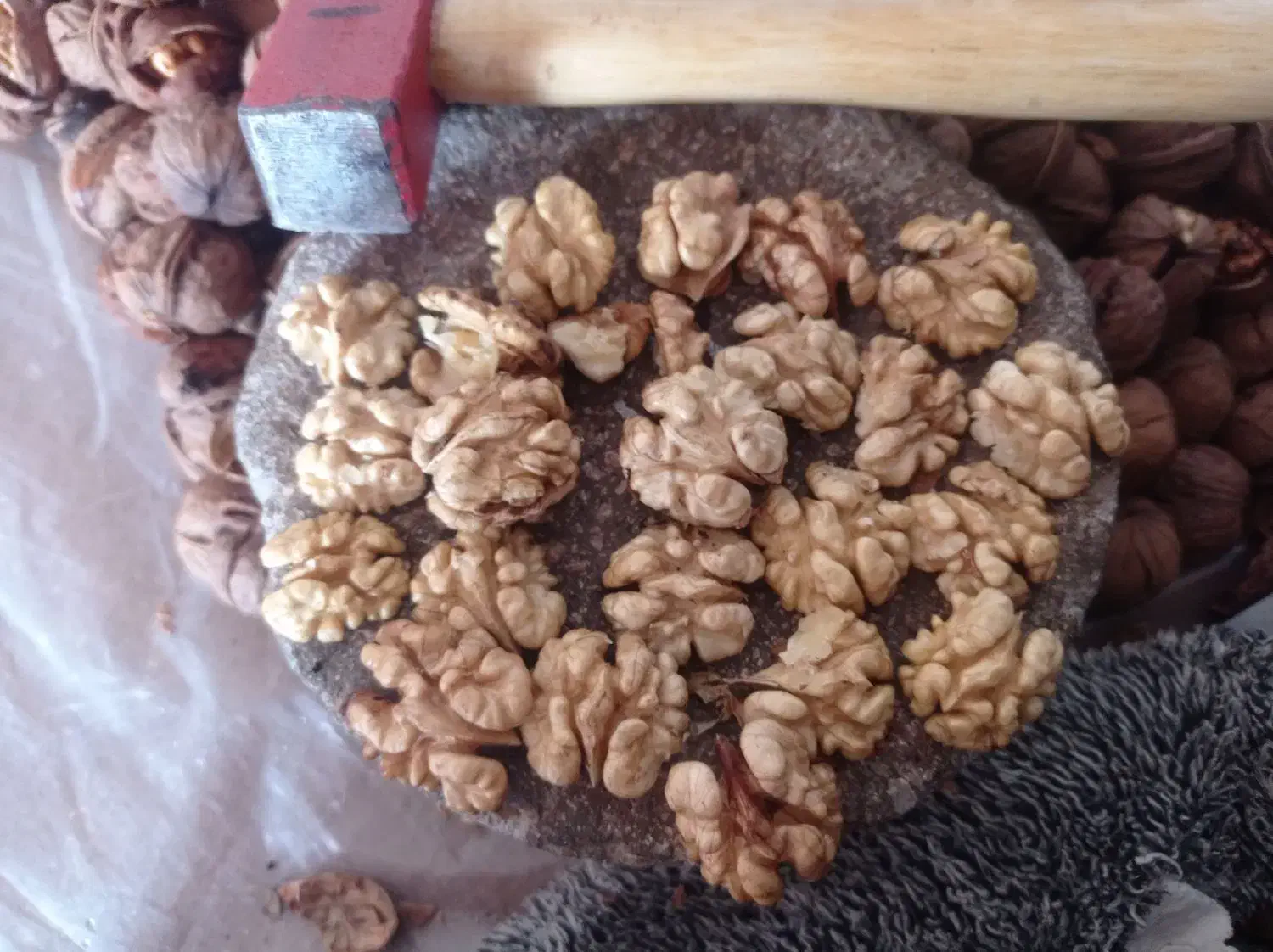 مغز|خوردنی و آشامیدنی|تهران, خانی آباد نو شمالی|دیوار