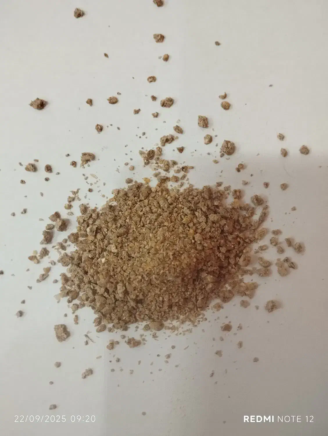 دان آماده انواع طیور مرغ گوشتی و تخمگذار ...|عمده‌فروشی|دلیجان, |دیوار