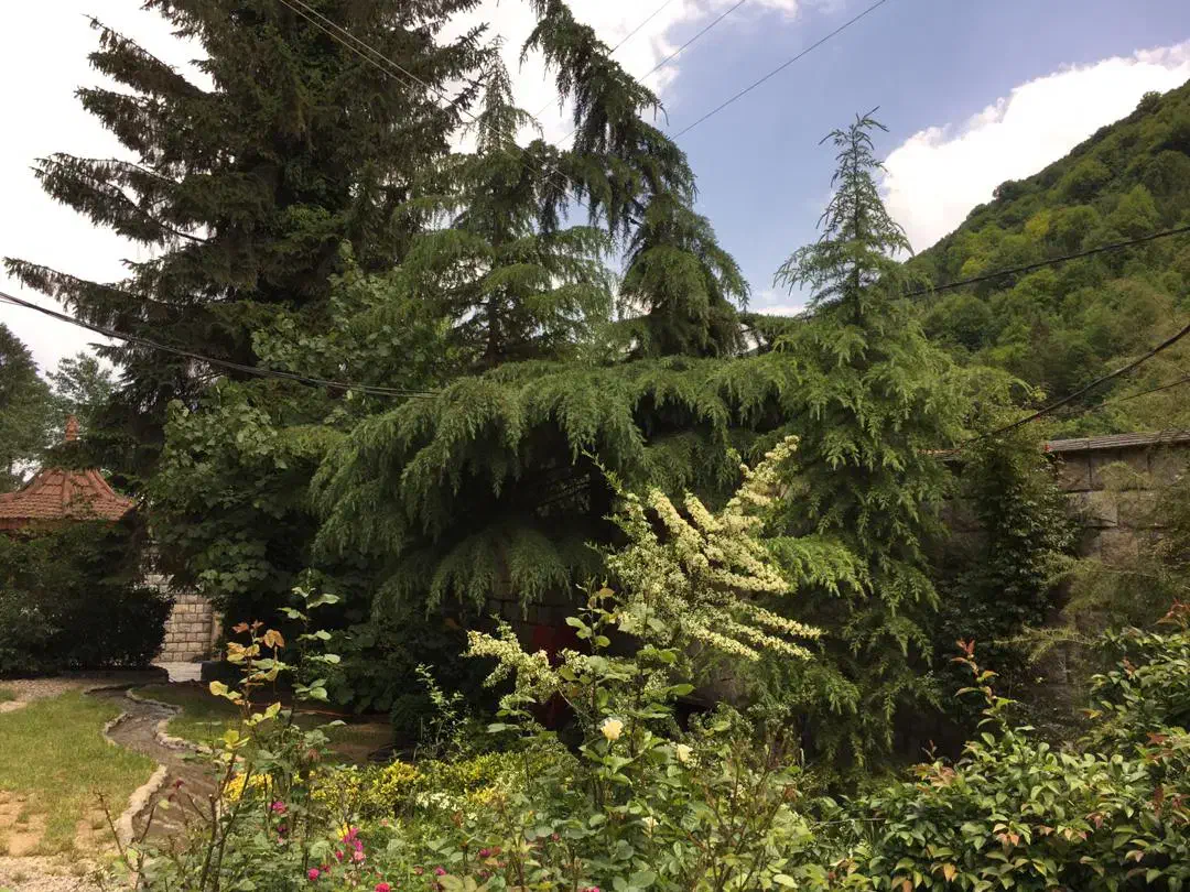 ماهانه  دو خواب دوبلکس باغچه|اجارهٔ خانه و ویلا|کلاردشت, |دیوار