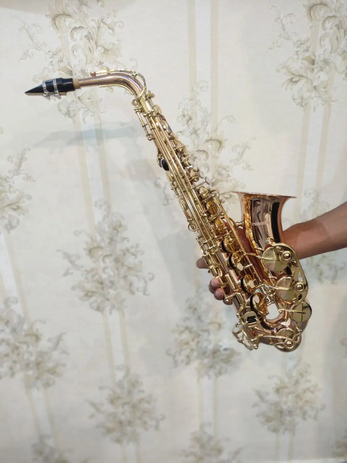 ساکسیفون نو کار نکرده اصلا|سازهای بادی|ملایر, |دیوار