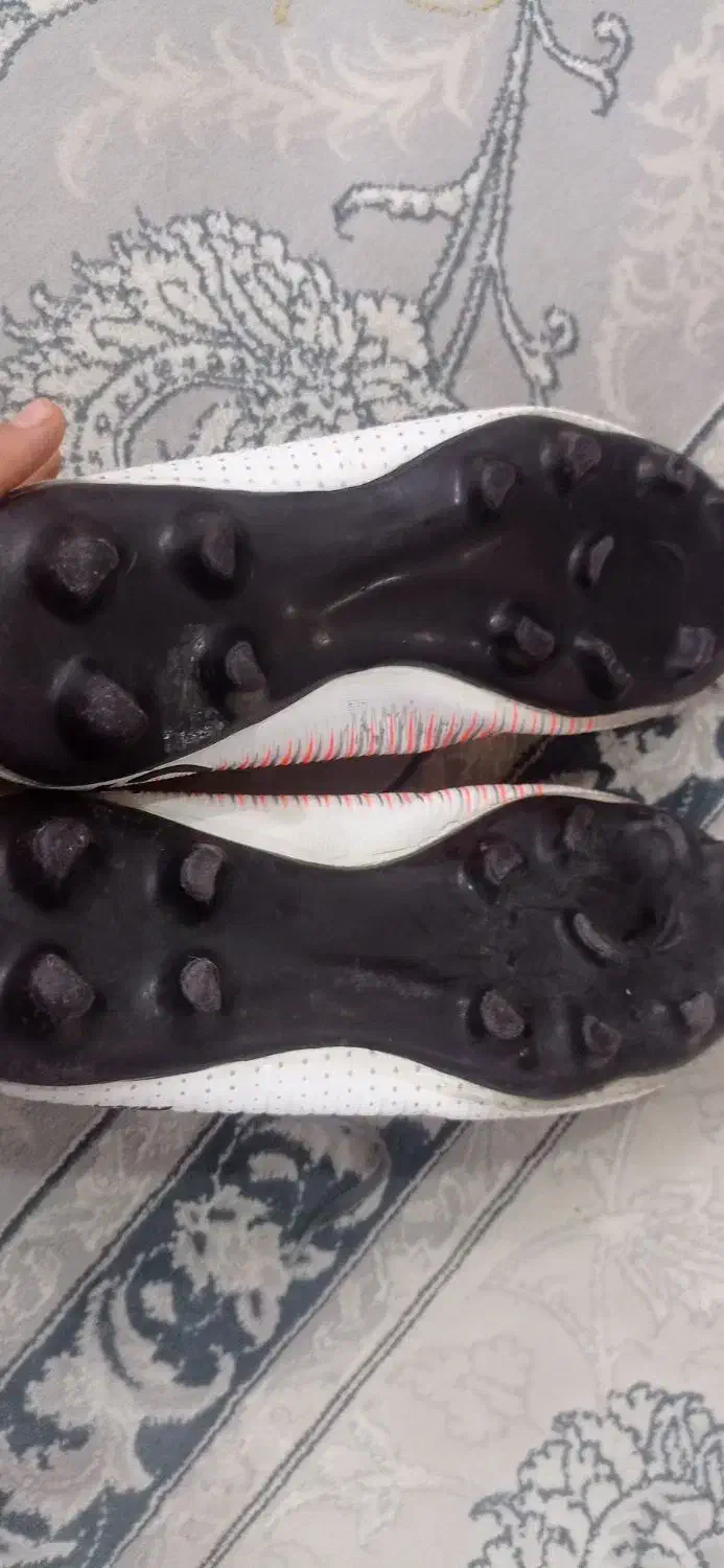 کفش فوتبالی چمن|کیف، کفش، کمربند|مریوان, |دیوار