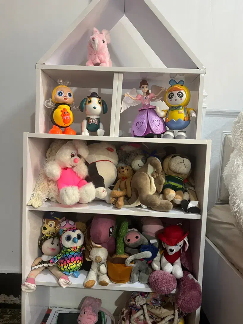 قفسه|اسباب‌‌بازی|اهواز, کوی باهنر|دیوار