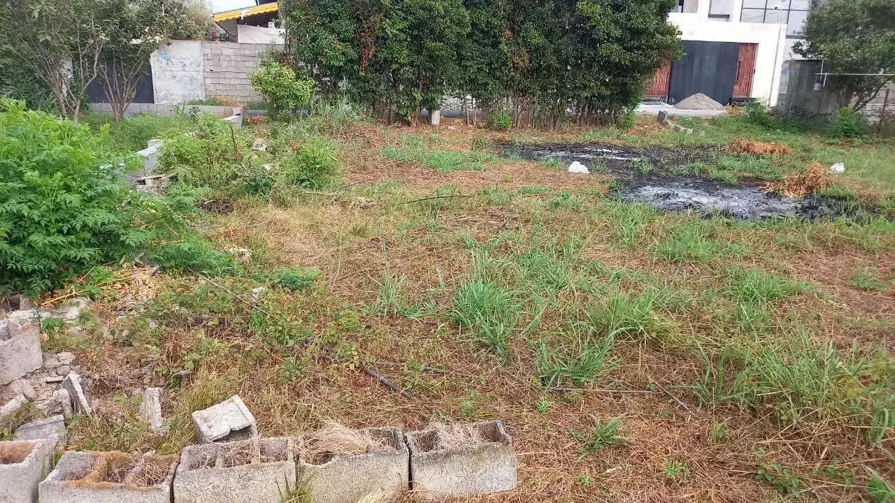 فروش زمین مسکونی در منطقه آزاد  چالکرودرامسر|فروش زمین و ملک کلنگی|دالخانی, |دیوار