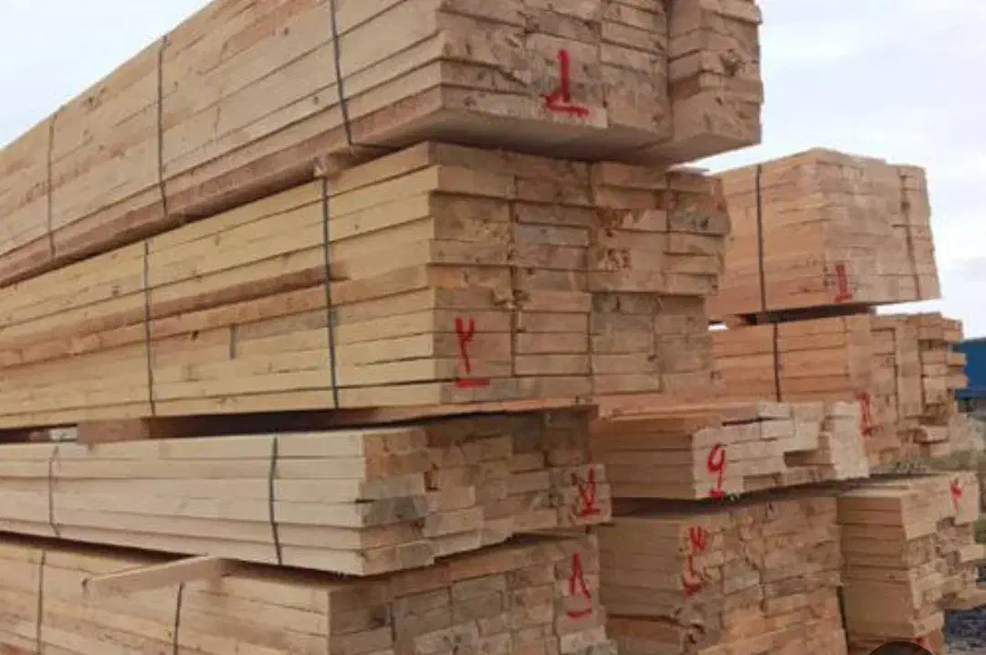 پخش تخته بنایی تخته زیرپایی روسی|مصالح و تجهیزات ساختمان|رباطکریم, رباطکریم|دیوار