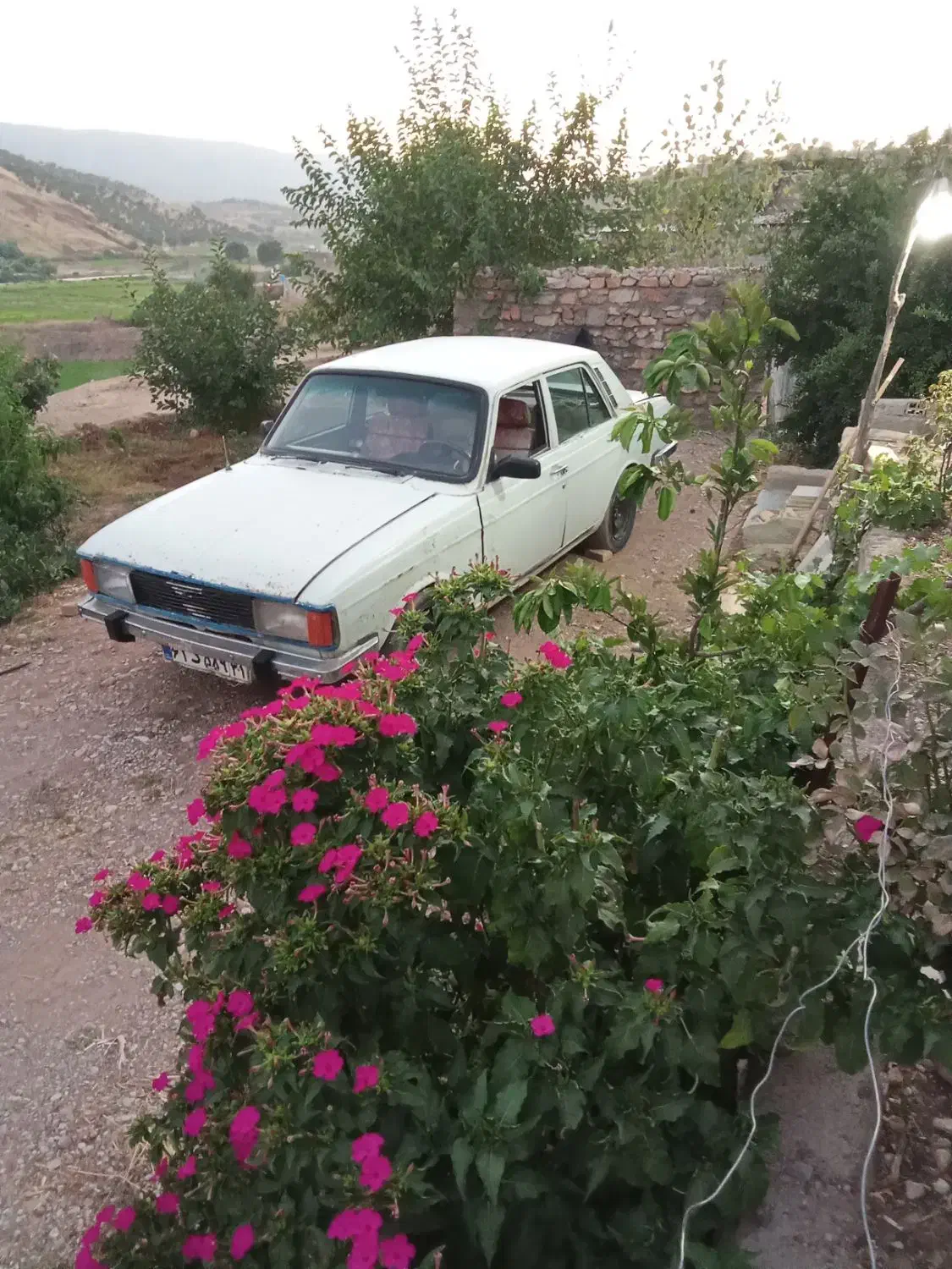 پیکان سواری مدل ۸۳|خودرو سواری و وانت|ویسیان, |دیوار