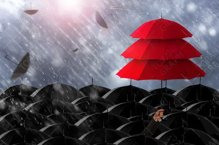 اعطای کد نمایندگی شرکت بیمه سامان|استخدام اداری و مدیریت|تبریز, |دیوار