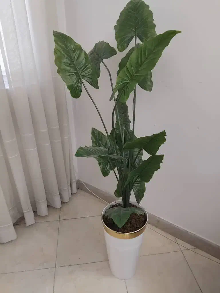 گلدان مصنوعی|گل مصنوعی|تهران, خواجه نظام الملک|دیوار