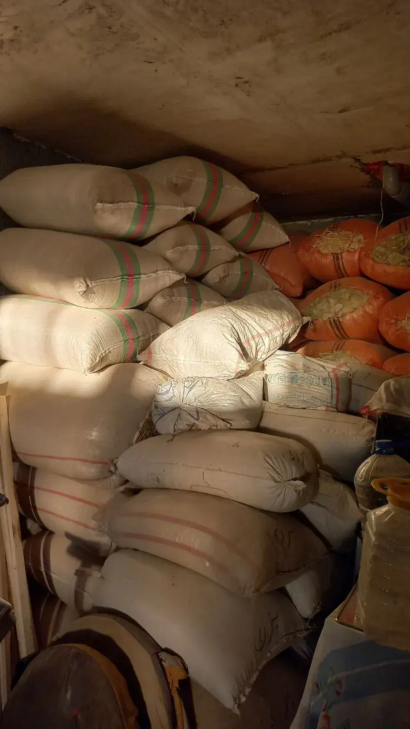 فروش کاه وجو|لوازم جانبی حیوانات|سیوان, |دیوار