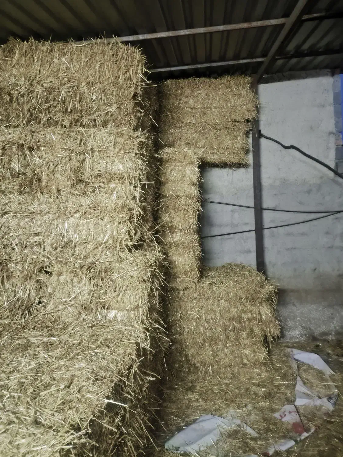 کاه گندم|عمده‌فروشی|کلباد, |دیوار