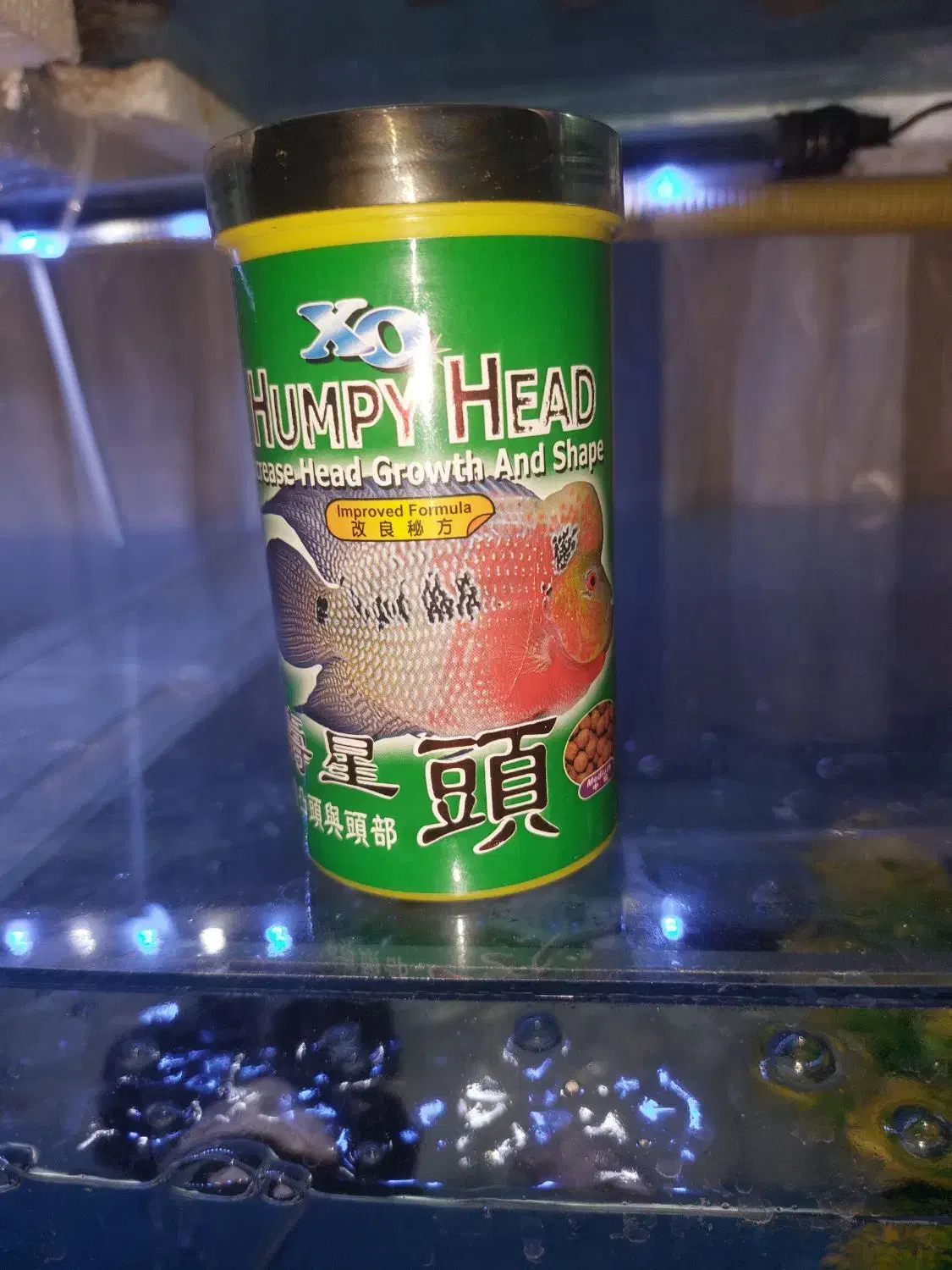 فلاور|ماهی|مشهد, شهید قربانی|دیوار