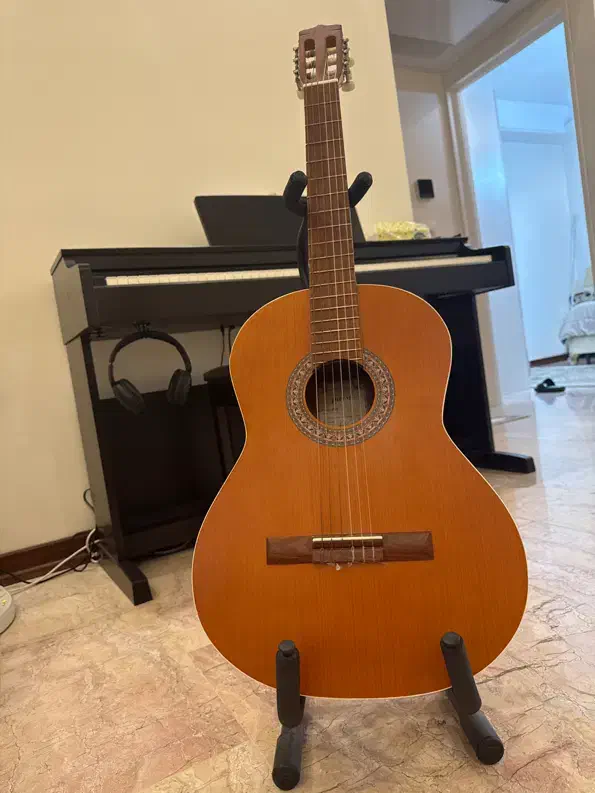 گیتار Parsi p40 در حد نو|گیتار، بیس، امپلیفایر|تهران, علم و صنعت|دیوار