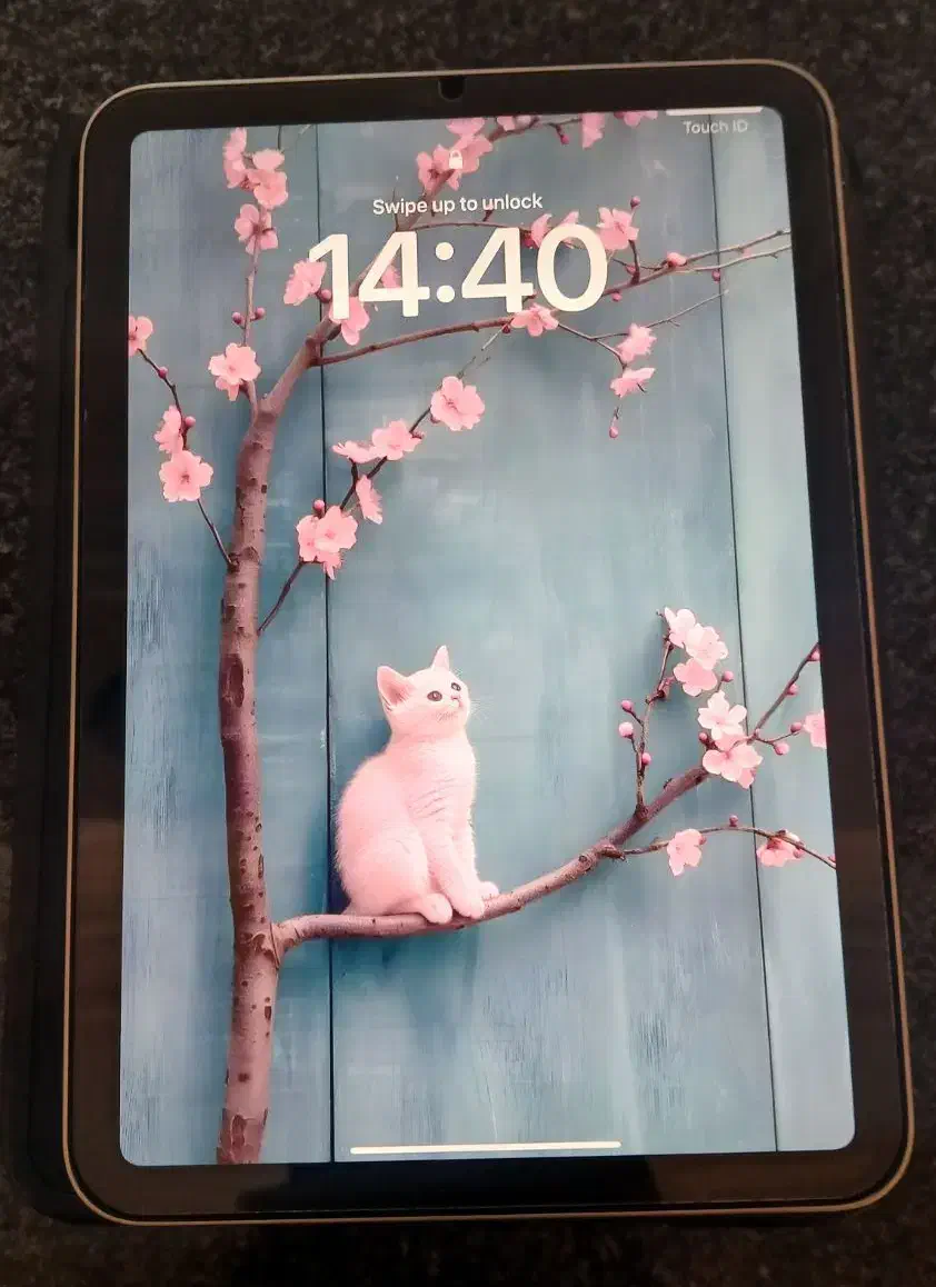 آیپد مینی 7 قیمت مناسب|تبلت|کرمان, |دیوار