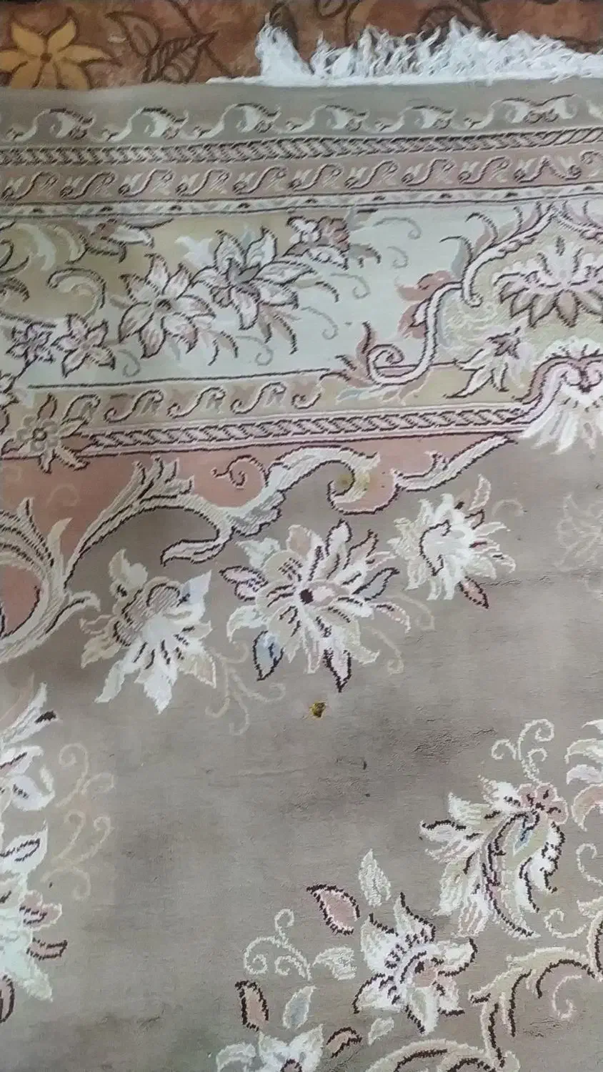 فرش نه متری گردویی ۲۷۰۰وکرم ۲۳۰۰|فرش|قم, چهل اختران|دیوار