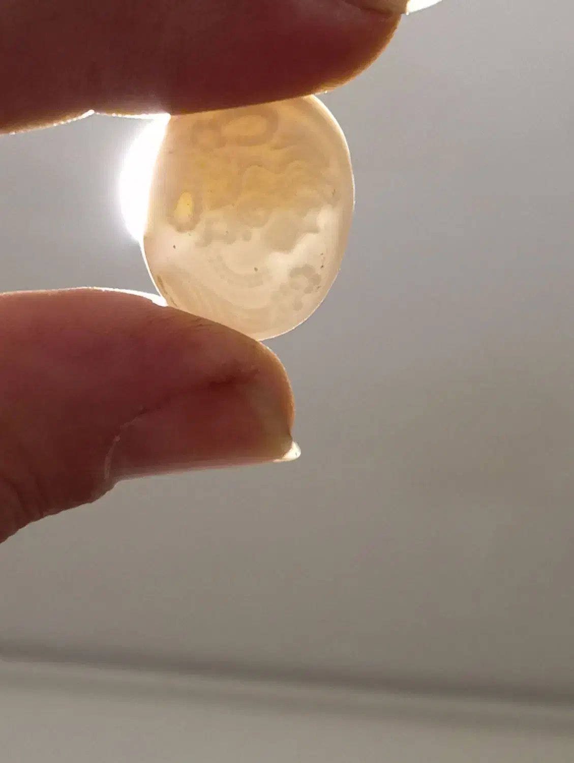 سکه و مهره|کلکسیون سکه، تمبر، اسکناس|نهاوند, |دیوار