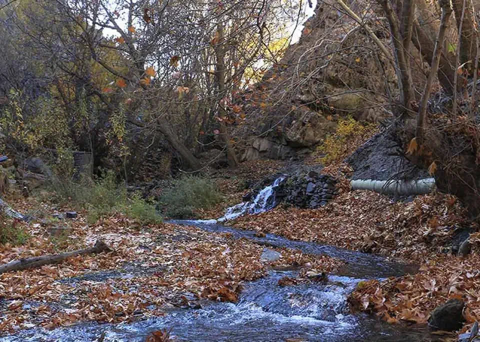 ۴۲۰۰ متر زمین در دنج ترین روستای طرقبه|فروش زمین و ملک کلنگی|طرقبه, |دیوار