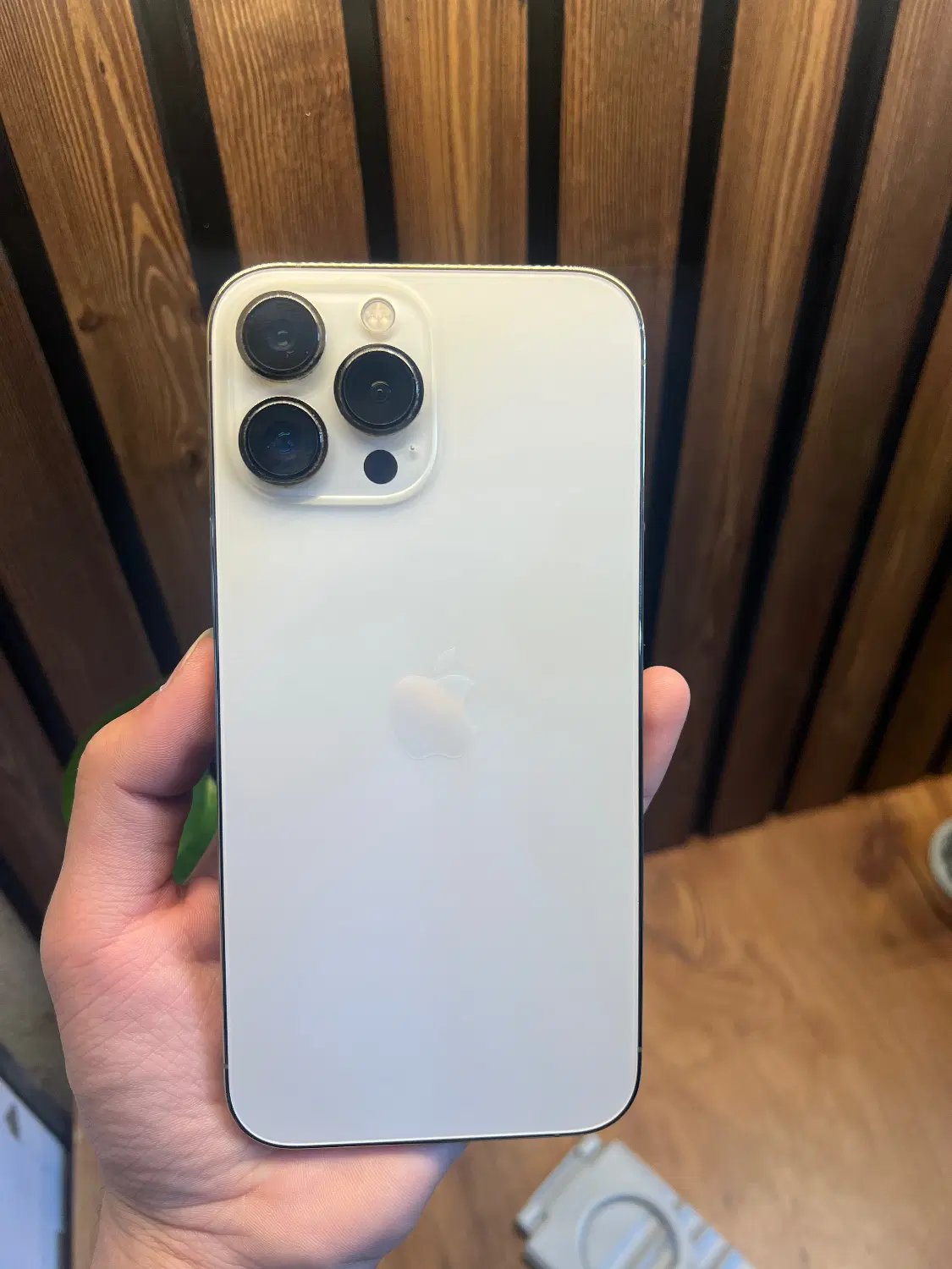 اپل iPhone 13 Pro Max طلایی ۲۵۶ گیگابایت|موبایل|سبزوار, قائم|دیوار