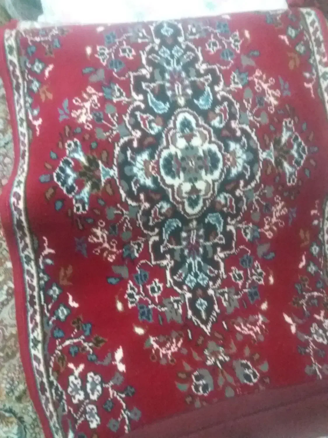 قالی فرش کناره|فرش|اصفهان, محمودآباد|دیوار