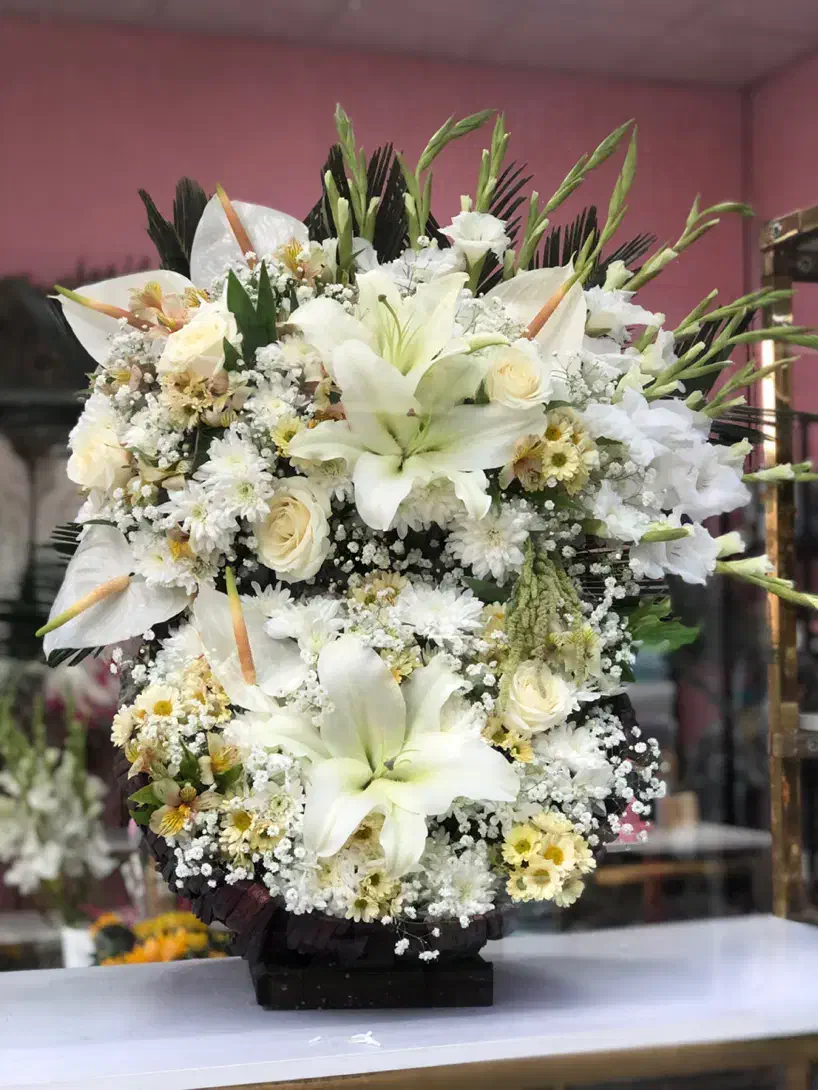 باکس گل|گل و گیاه طبیعی|تهران, آبشار تهران (دریاچه)|دیوار