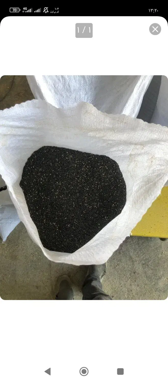 فروش انواع بذر پیاز درجه یک|خدمات باغبانی و درختکاری|کازرون, |دیوار