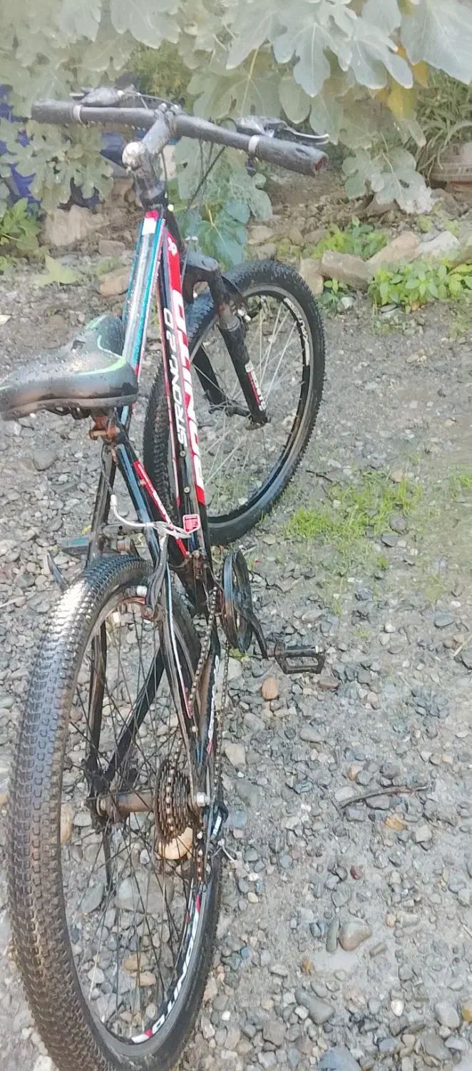 دوچرخه سایز ۲۶|دوچرخه، اسکیت، اسکوتر|سرخنکلاته, |دیوار