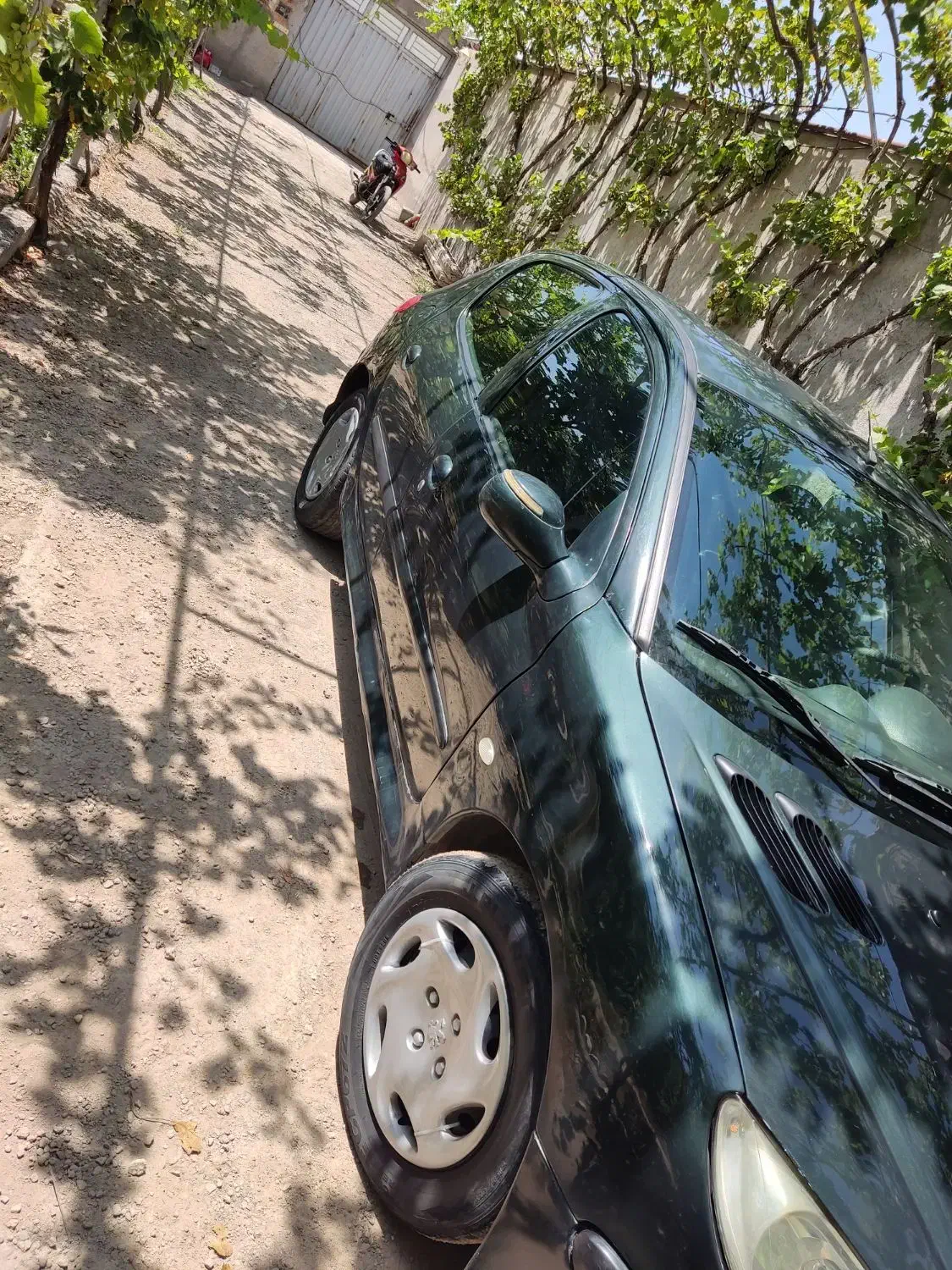 فروش 206 مدل 82|خودرو سواری و وانت|گوگان, |دیوار