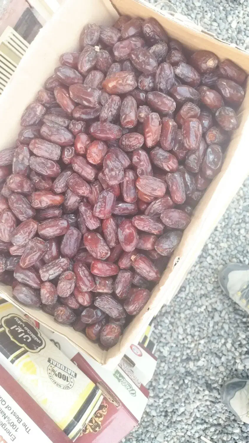 خرما فرض درجه یک تازه|خوردنی و آشامیدنی|منوجان, |دیوار
