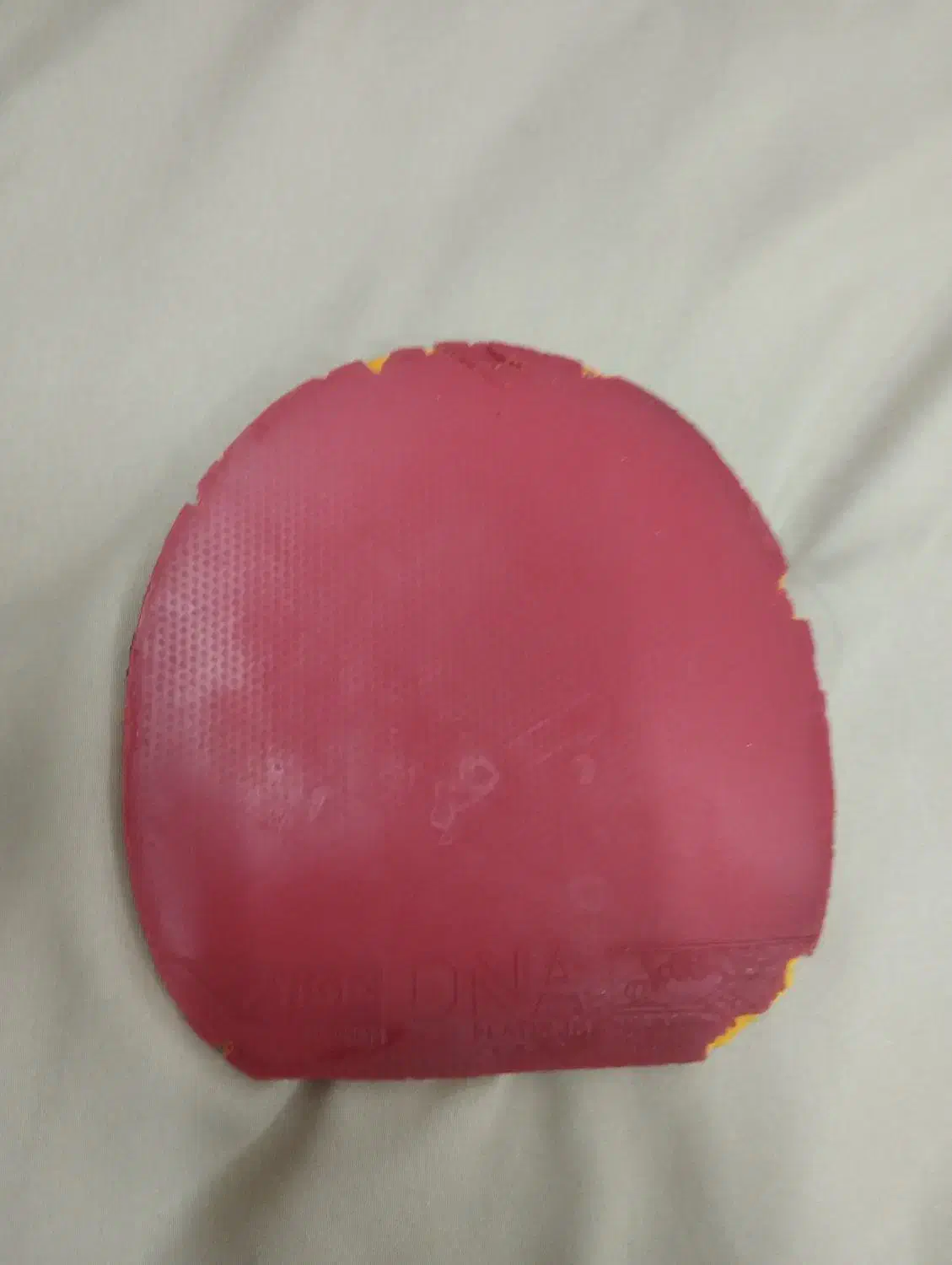 راکت ویسکاریا|ورزشهای توپی|اوز, |دیوار