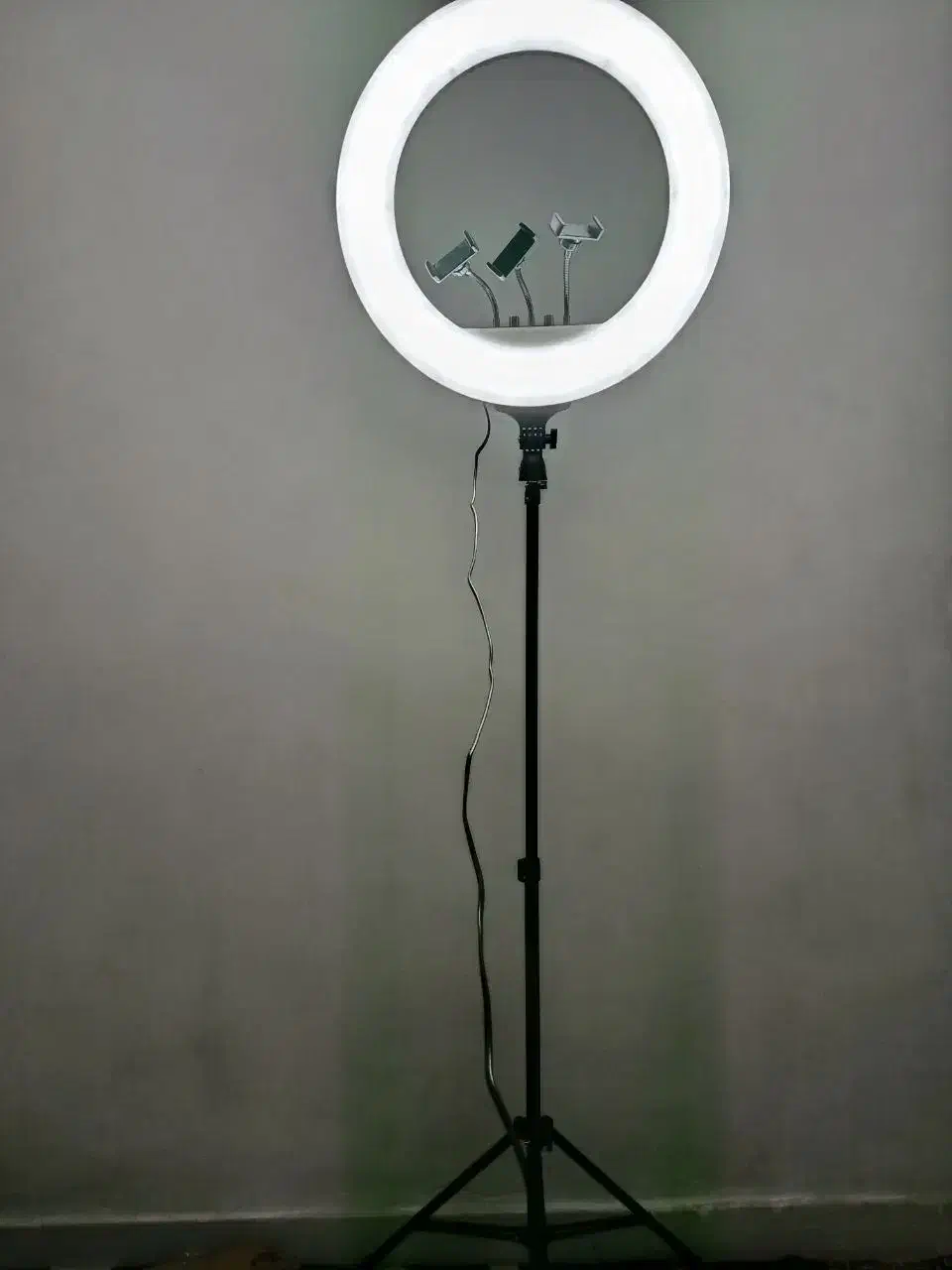 رینگ لایت سایز بزرگ با پایه محکم|دوربین عکاسی و فیلمبرداری|اندیشه, اندیشه فاز ۱|دیوار