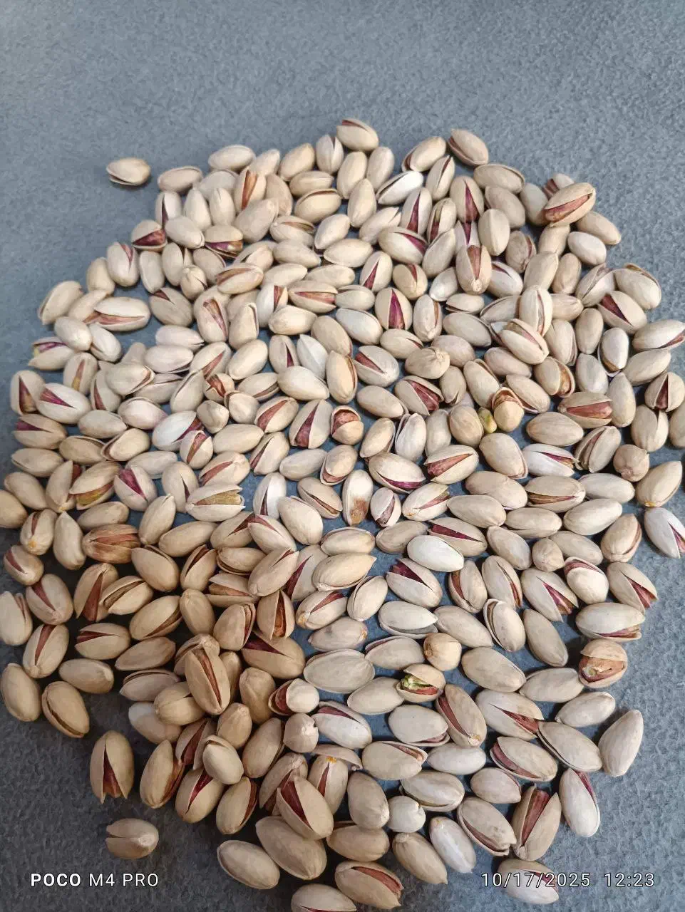 پسته سفید بادامی درجه یک|عمدهفروشی|گناباد, |دیوار