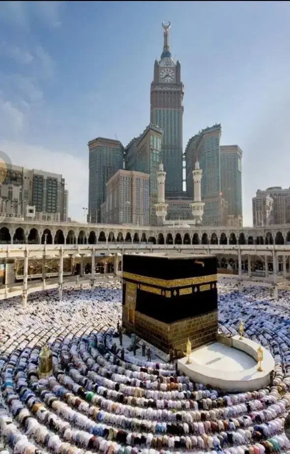 فیش حج واجب (تمتع)|تور و چارتر|آشخانه, |دیوار