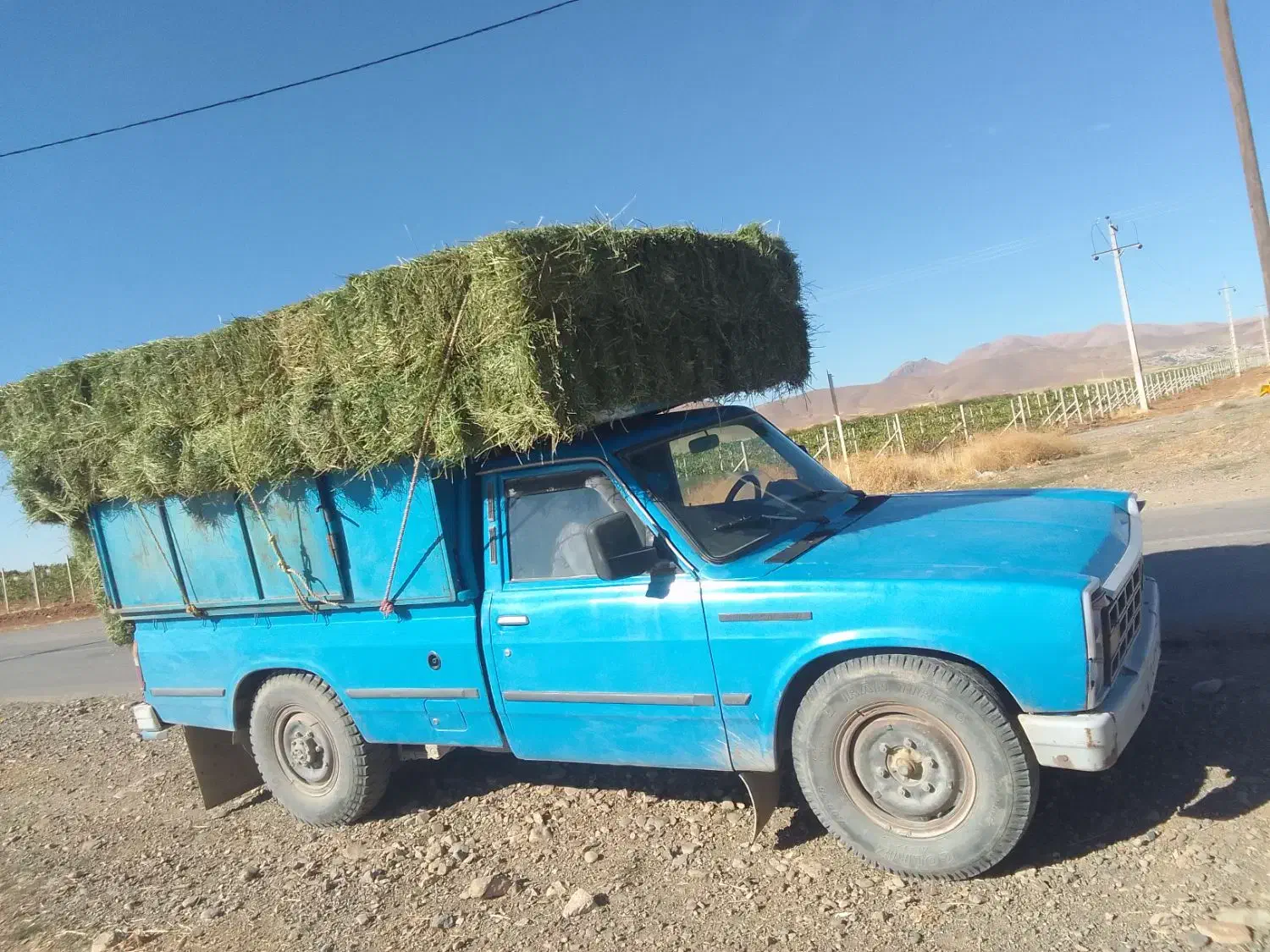 حمل بار خرید و فروش یونجه حبوبات غلات کود و کارتن|خدمات حمل و نقل|کبودرآهنگ, |دیوار