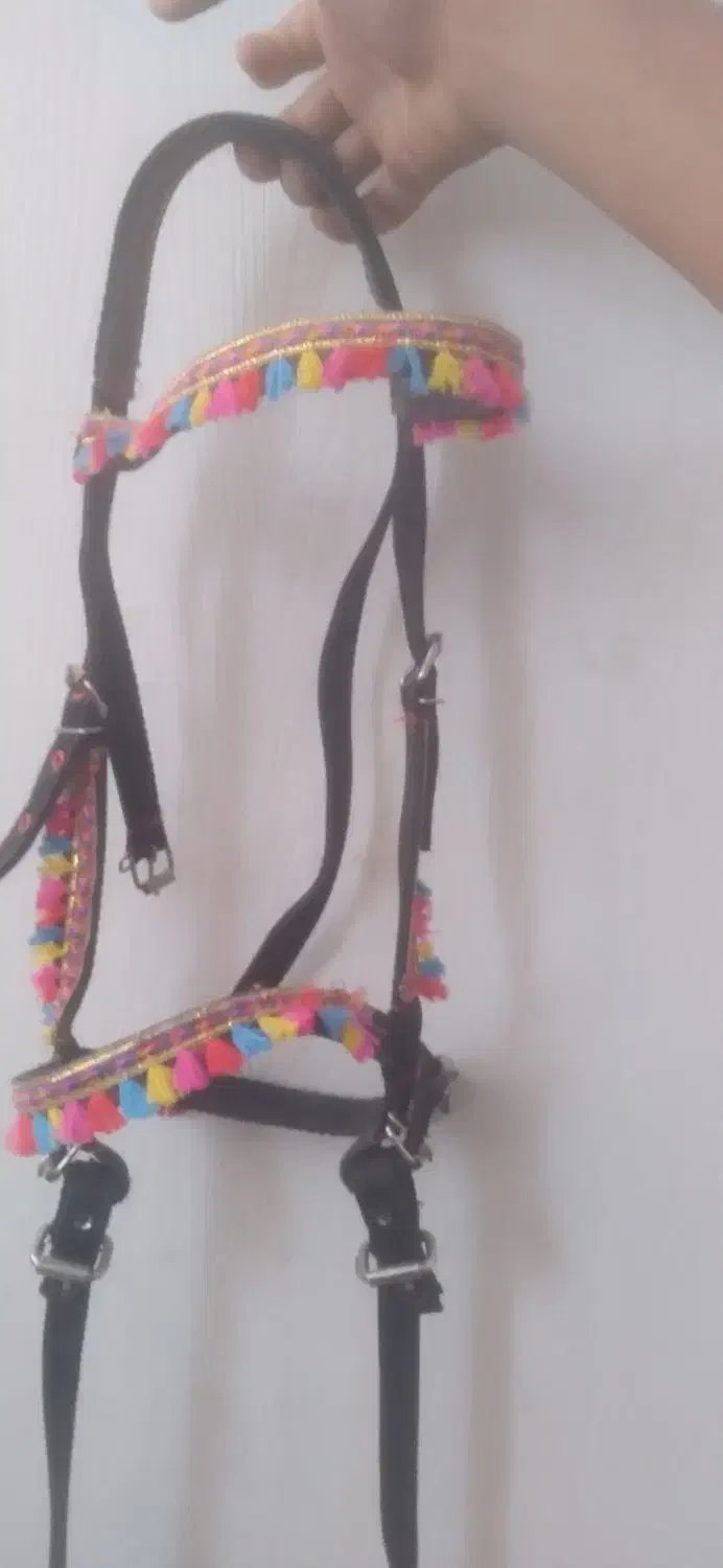 کلگی دست جلو اسب|اسب و تجهیزات اسب‌سواری|اردکان, |دیوار