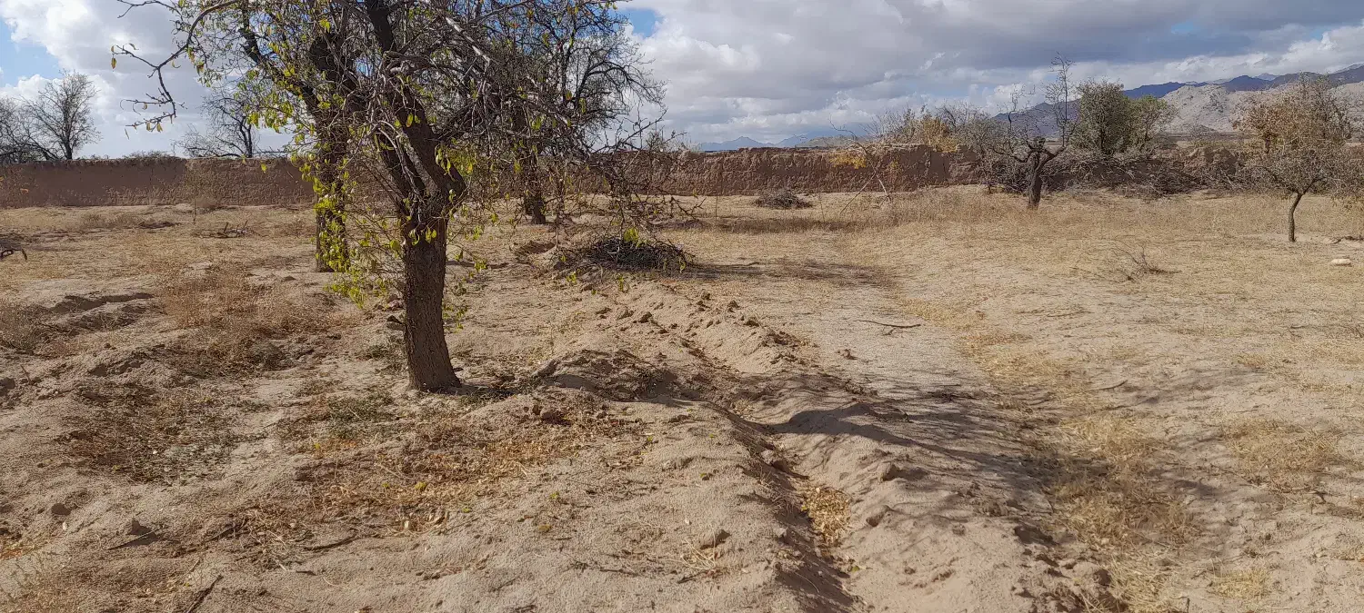 زمین روستای آقابزرگی|فروش زمین و ملک کلنگی|نیر (یزد), |دیوار
