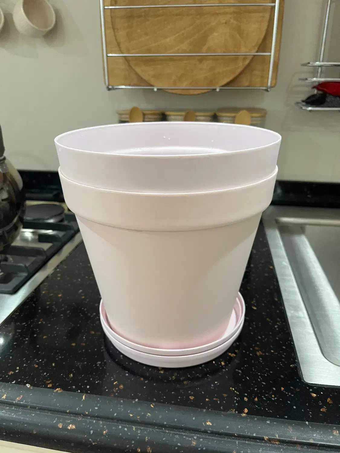 ۲ تا گلدون پلاستیکی صورتی روشن|گل و گیاه طبیعی|تهران, مجیدیه|دیوار