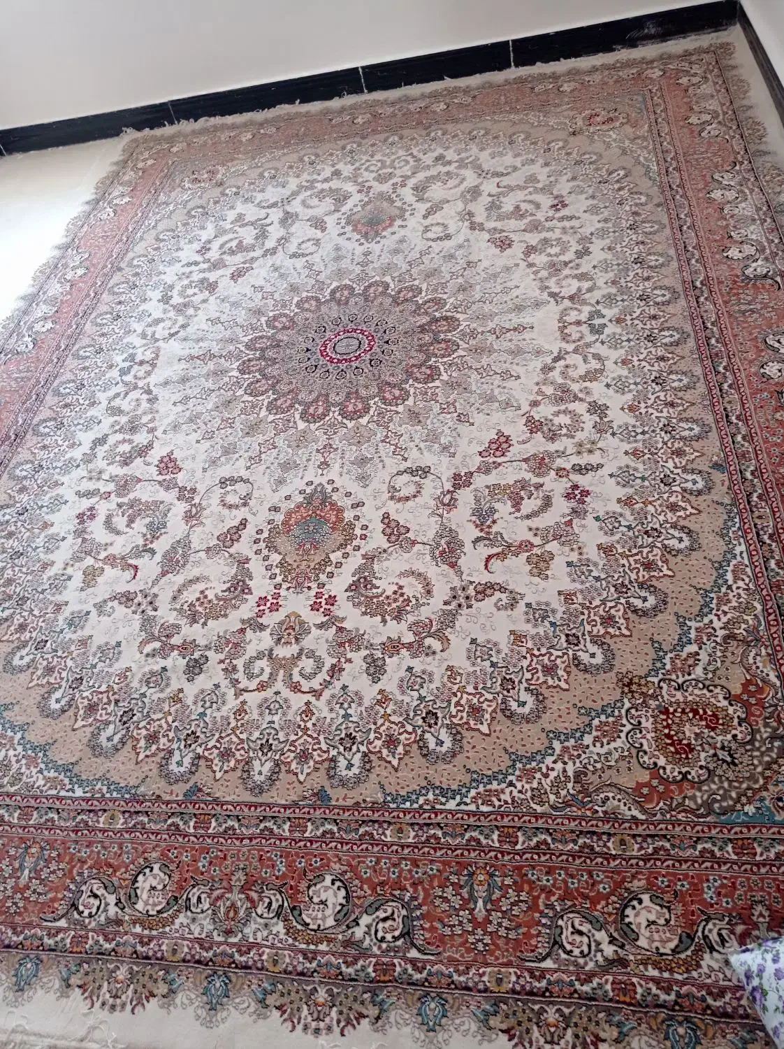 قالی کاشان نو تمیز|فرش|بندر امام خمینی, |دیوار