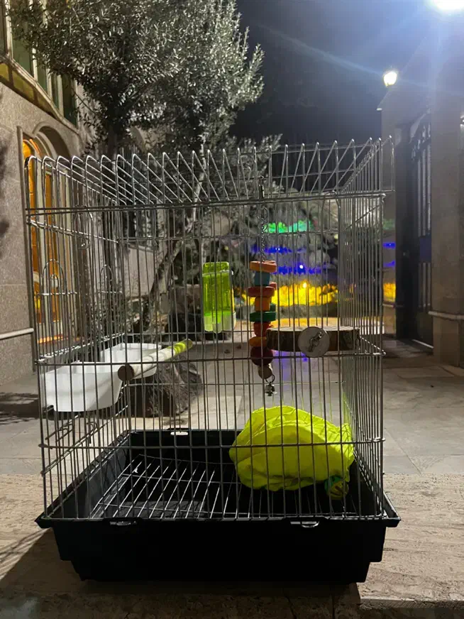 قفس|لوازم جانبی حیوانات|تهران, شهرآرا|دیوار
