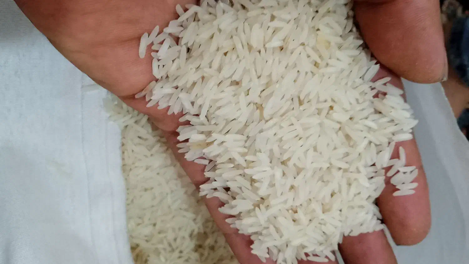 برنج طارم|خوردنی و آشامیدنی|قرچک, داوود آباد|دیوار