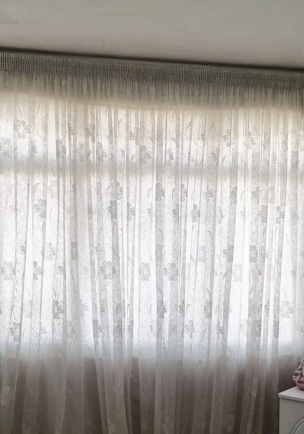 پرده|پرده، رانر، رومیزی|مشهد, یاس|دیوار