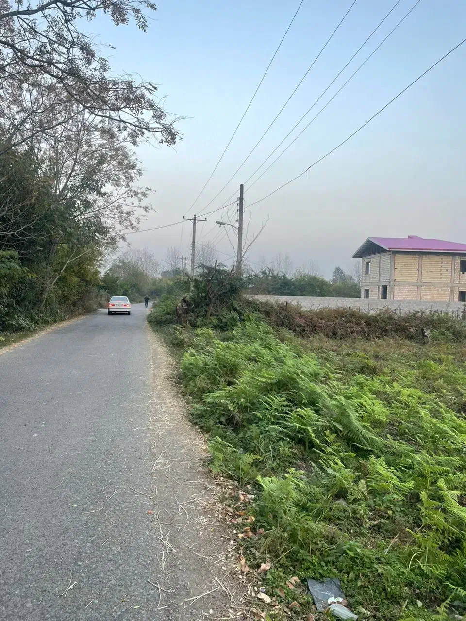 فروش زمین مسکونی سند تک برگ|فروش زمین و ملک کلنگی|شاندرمن, |دیوار