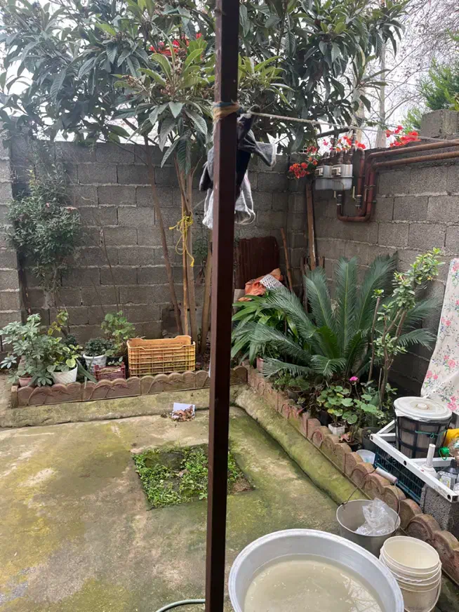 سوییت واحد صومعه فومن تولمشهر سنددار|فروش آپارتمان|تولم شهر, |دیوار