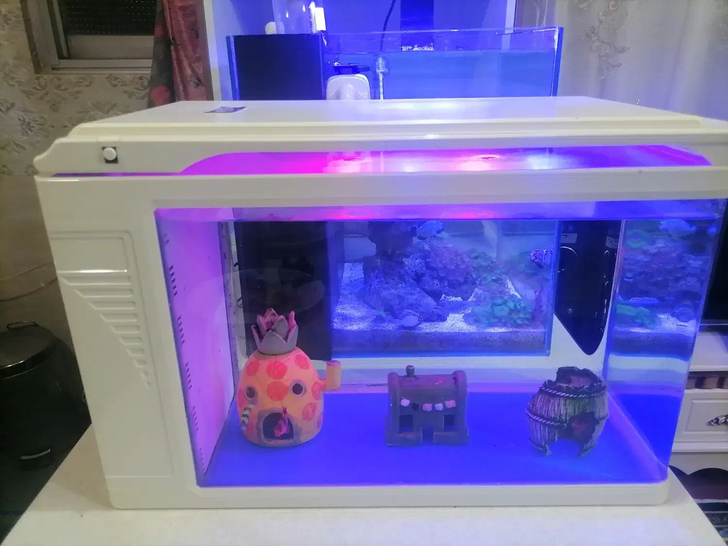 آکواریوم شیشه خم شرکتی کمری بک سامپ با لوازم وماهی|ماهی|تهران, دژکام|دیوار