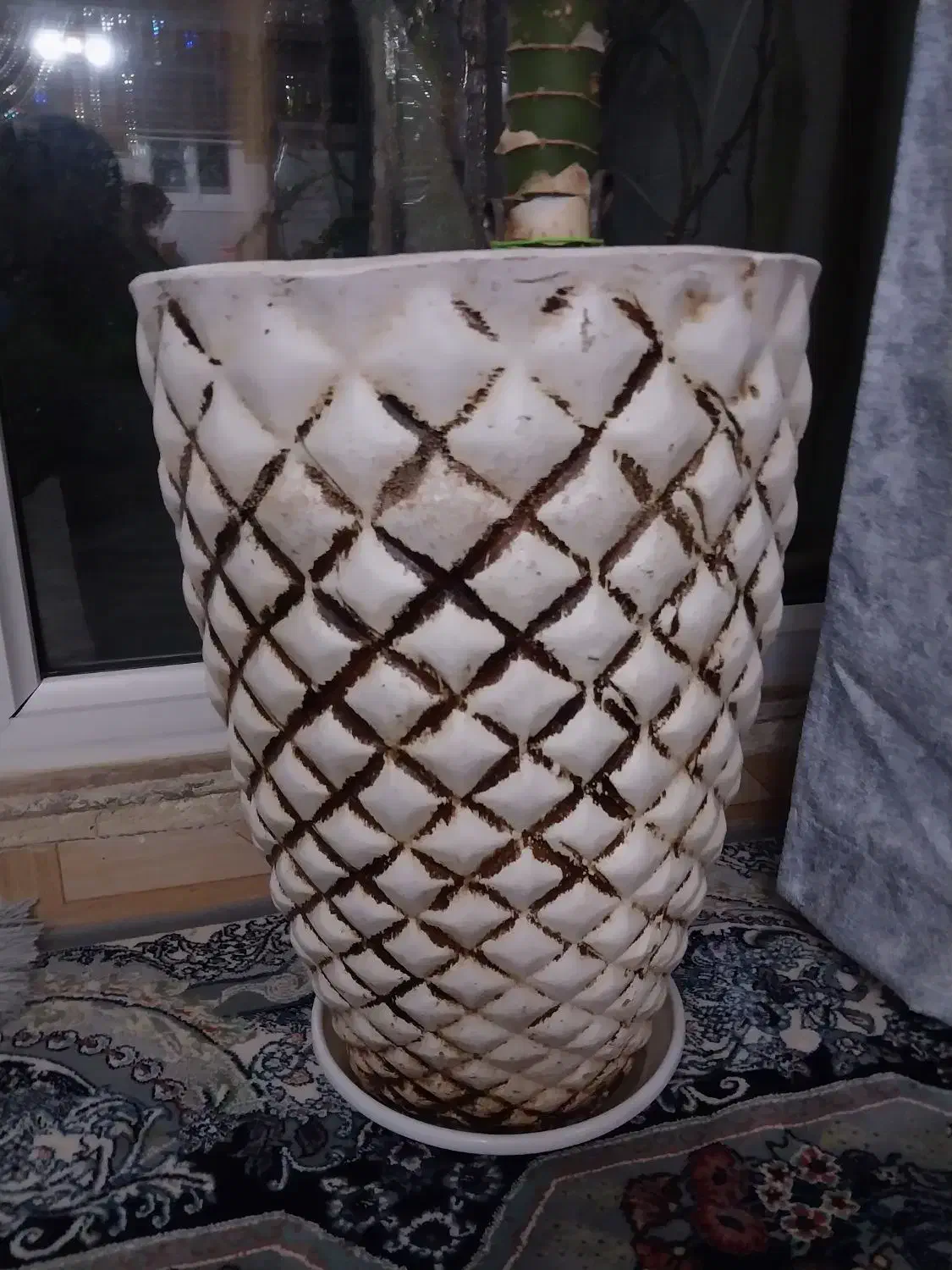 دیفن باخیا همراه گلدان سفالی|گل و گیاه طبیعی|اسلامشهر, شهرک محمدیه|دیوار