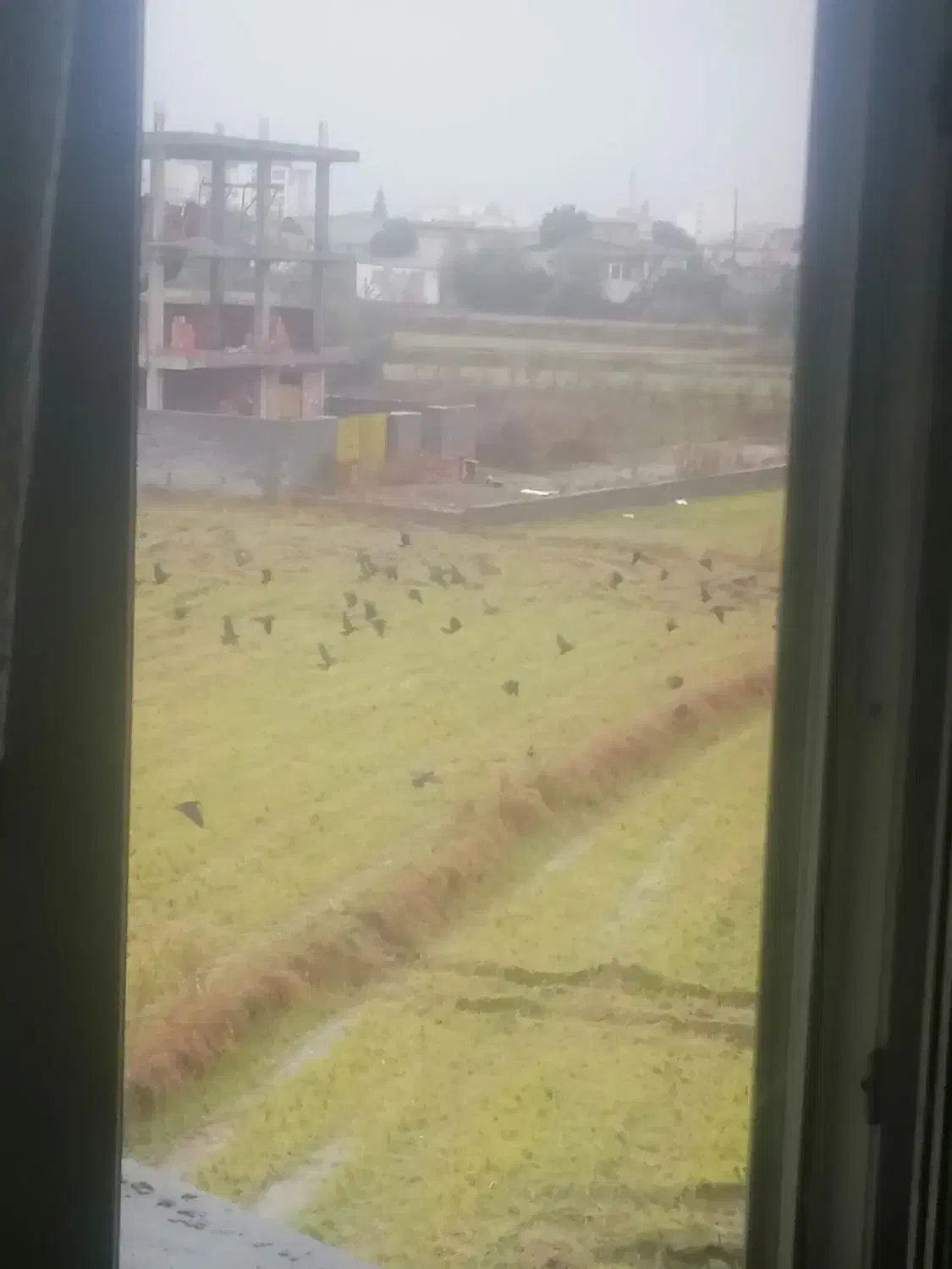 آپارتمان 80 متری|فروش آپارتمان|چالوس, |دیوار