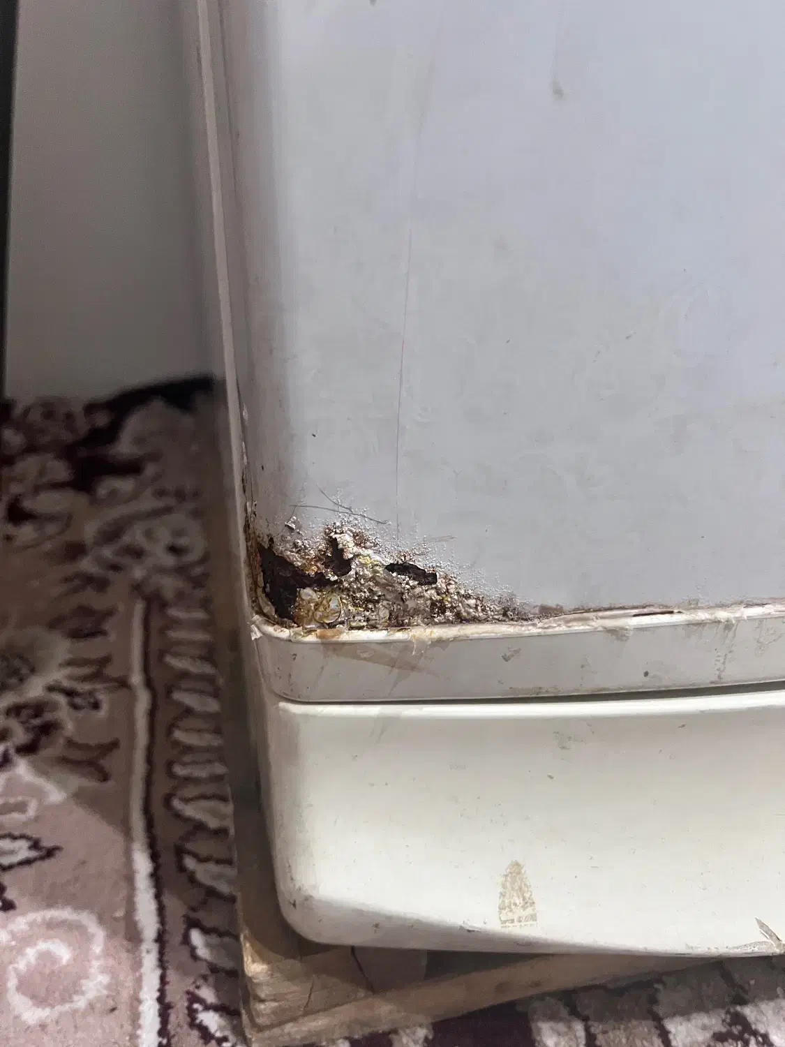 یخچال سالم|یخچال و فریزر|مشهد, سمزقند|دیوار