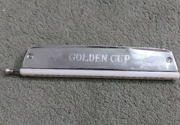 ساز دهنی|سازهای بادی|لنگرود, |دیوار