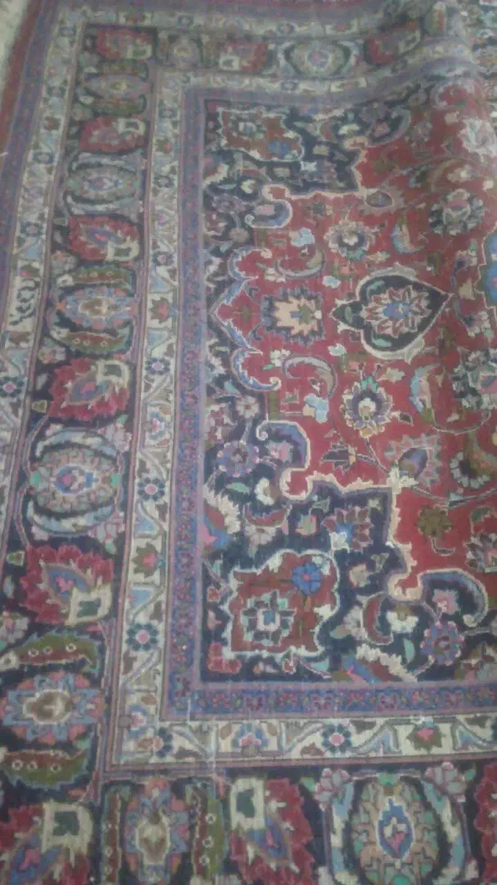 قالی دستی ۶ متری پشمی|فرش|مشهد, ادیب نیشابوری (شهرک غرب)|دیوار