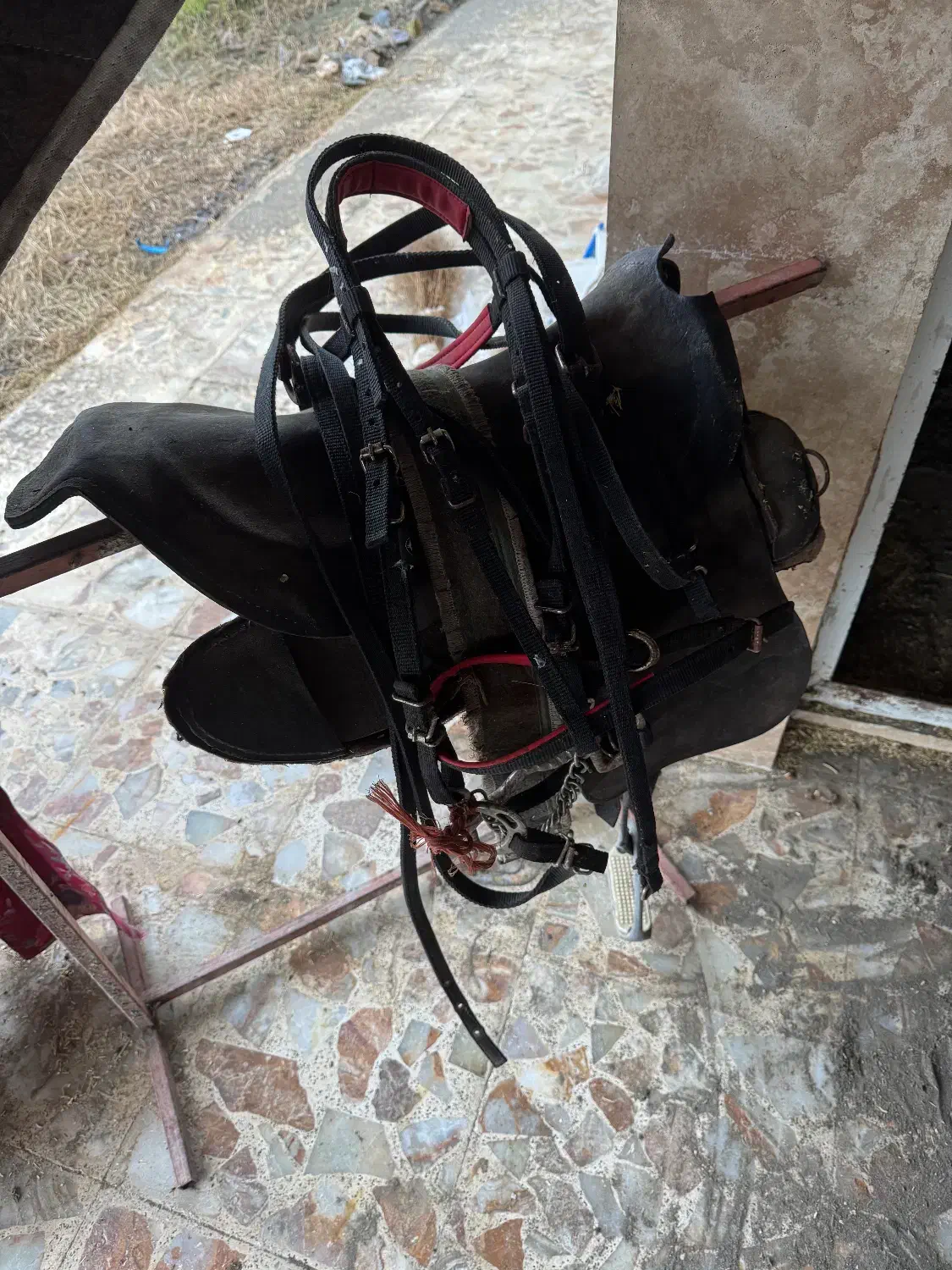 زین چرم|اسب و تجهیزات اسبسواری|رشت, کاکتوس|دیوار