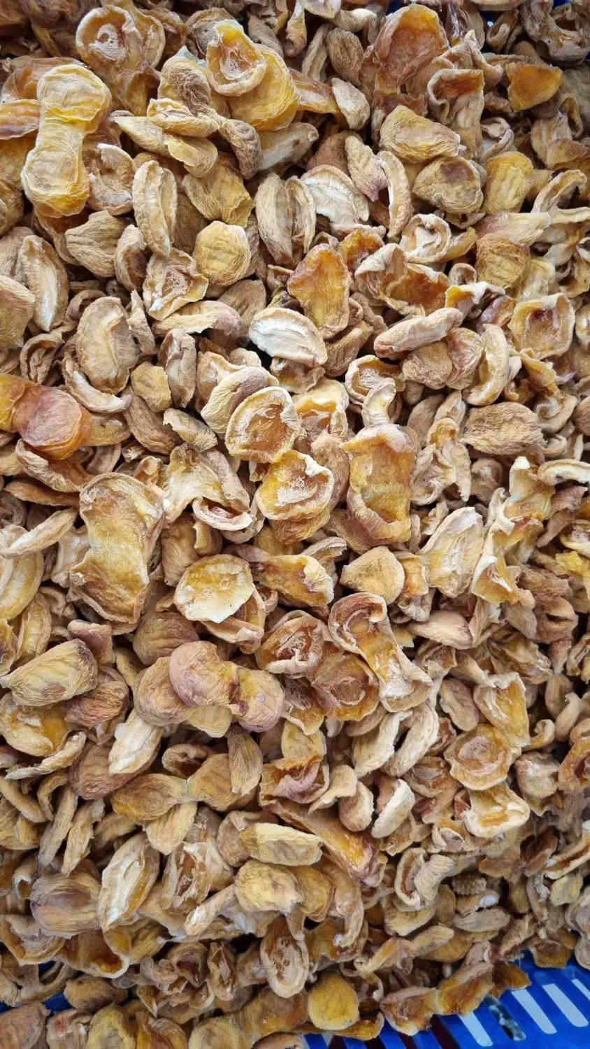 برگه قیصی|خوردنی و آشامیدنی|قم, شهرک قدس|دیوار