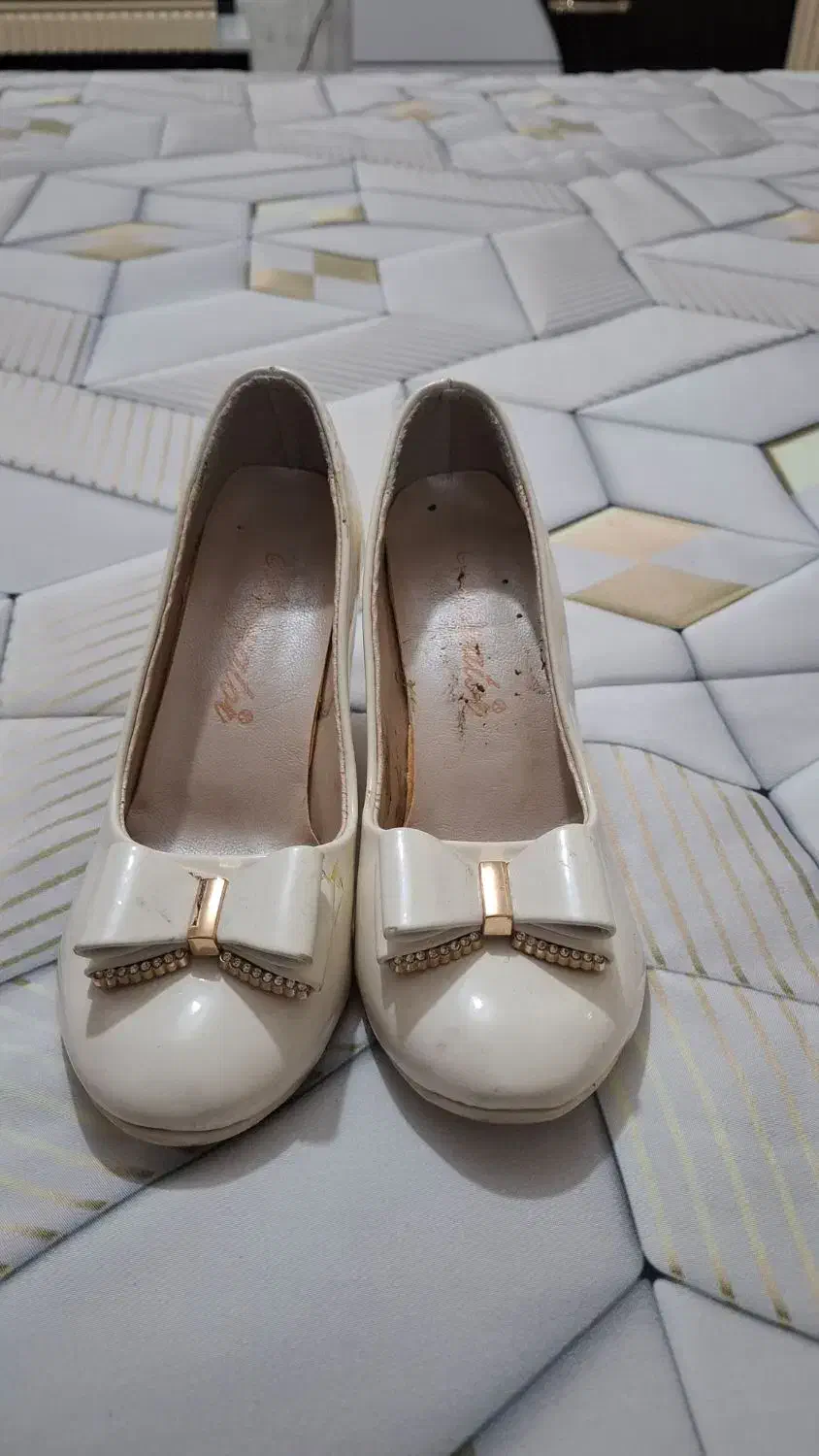 کفش مجلسی|کیف، کفش، کمربند|گنبد کاووس, |دیوار